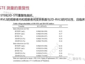 澳门一码一肖100准今期指点_结论释义解释落实_3DM87.92.07