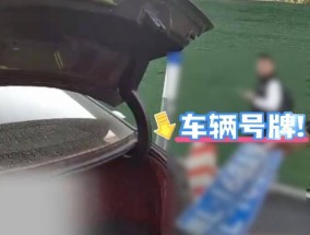 南京一男子拆卸号牌“甩锅”老婆：她的车，我真不知道