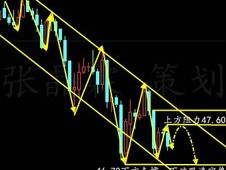 2024年今天晚上出什么马_作答解释落实_GM版v52.63.59