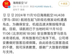 海航一航班起飞时遭鸟击安全返航，游客称惊魂未定，航司回应