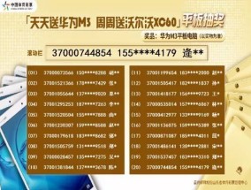 2024天天彩正版资料大全_最新答案解释落实_实用版450.123