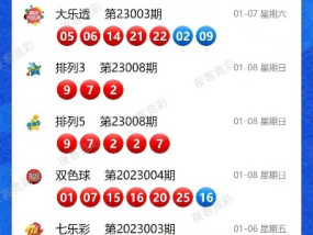 新奥今晚上开奖9点30分2024_精选解释落实将深度解析_网页版v506.195