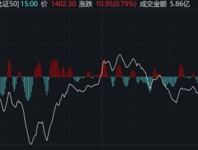 科创50指数大涨4.7% 芯片股爆发 新能源赛道股走强