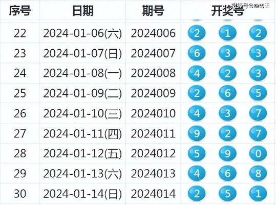 2024新澳历史开奖记录_作答解释落实_安卓版486.982